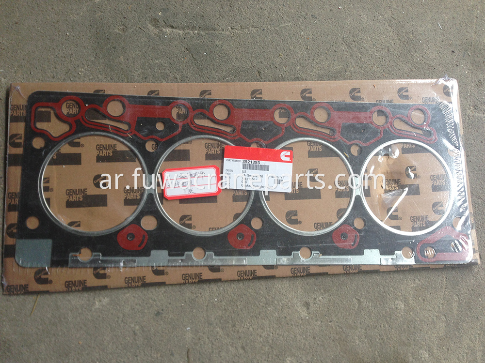 Blown Cylinder Head Gasket